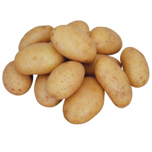 Fresh wholesale potato product